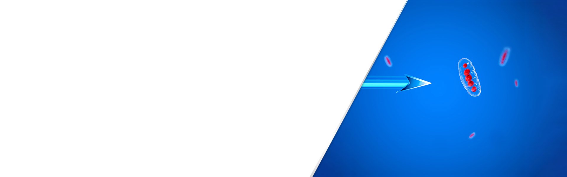 background-terbinafine